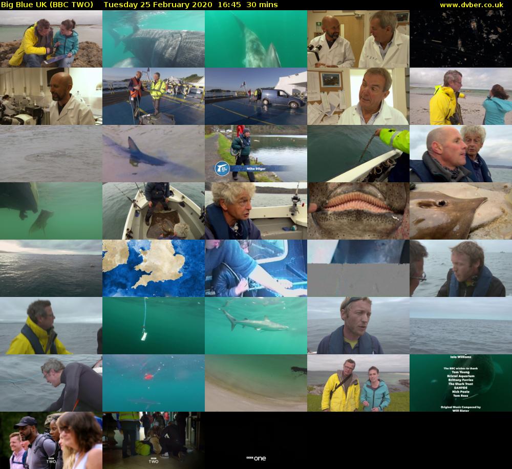 Big Blue UK (BBC TWO) Tuesday 25 February 2020 16:45 - 17:15