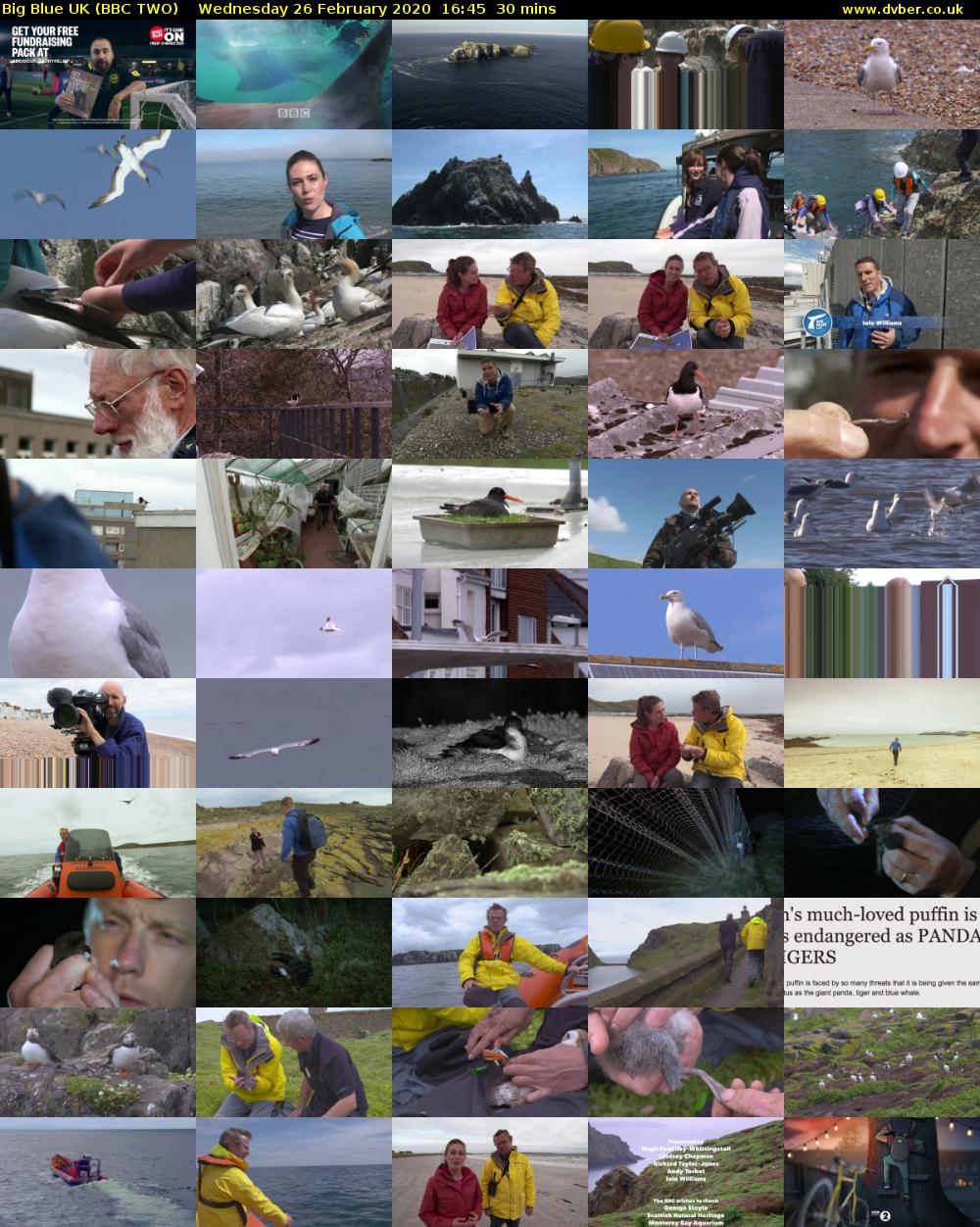 Big Blue UK (BBC TWO) Wednesday 26 February 2020 16:45 - 17:15