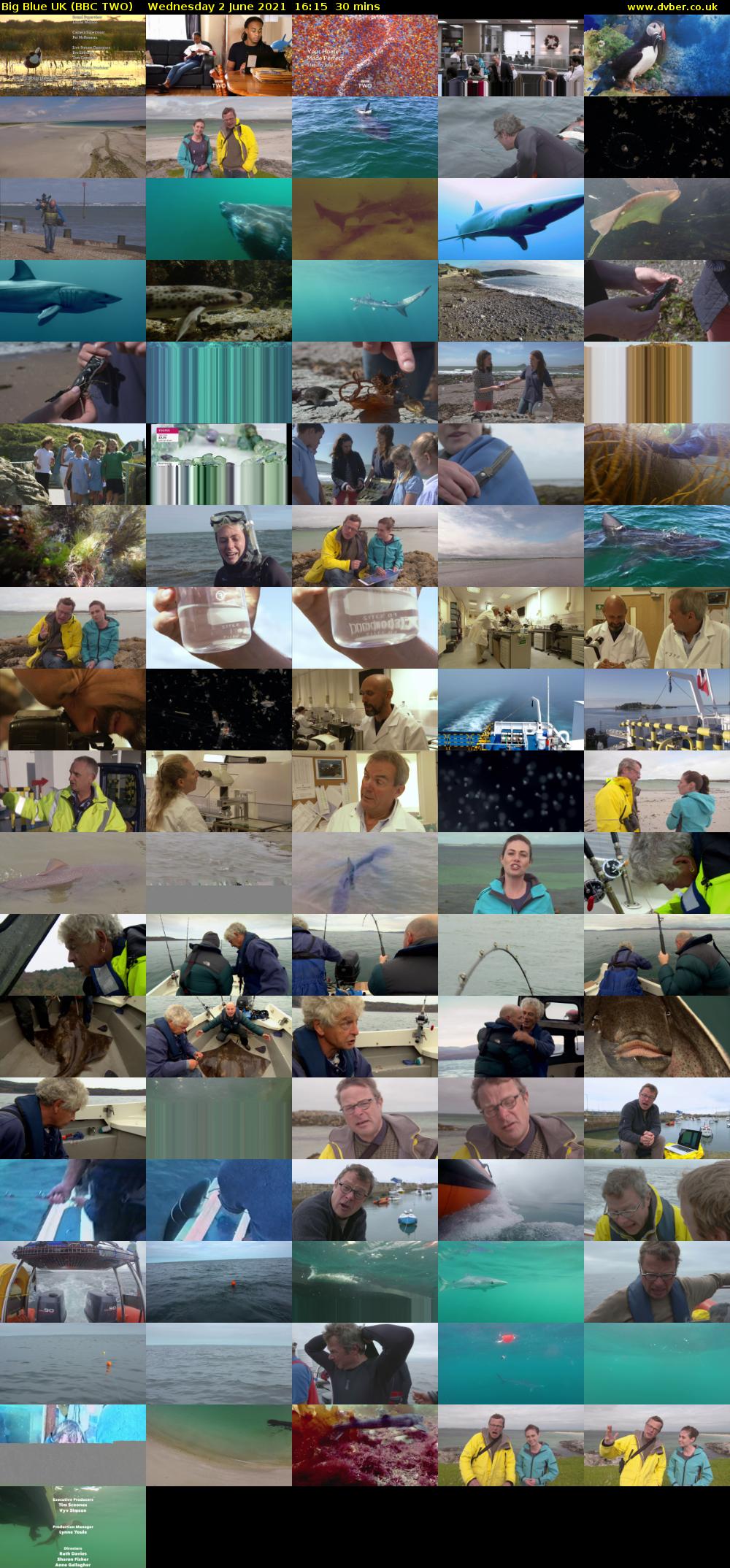 Big Blue UK (BBC TWO) Wednesday 2 June 2021 16:15 - 16:45