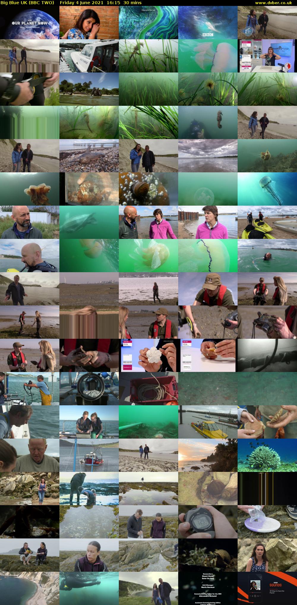 Big Blue UK (BBC TWO) Friday 4 June 2021 16:15 - 16:45