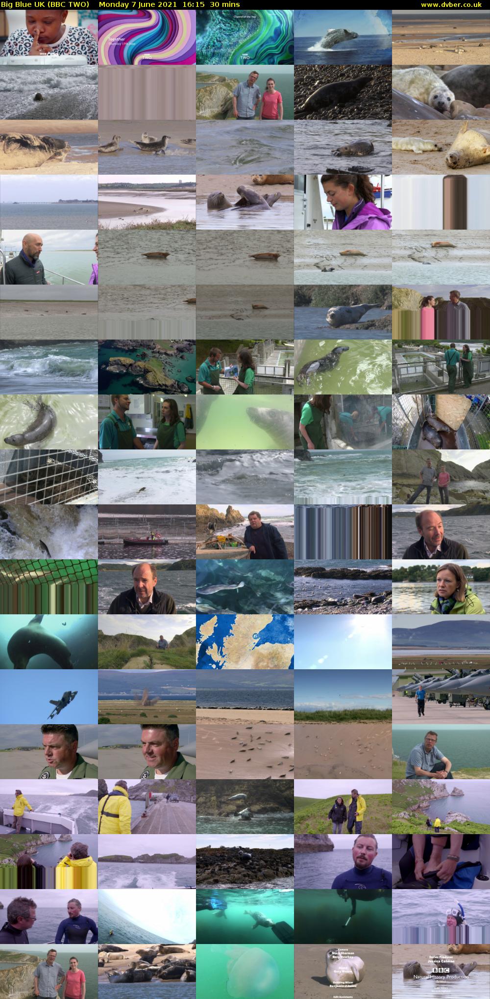 Big Blue UK (BBC TWO) Monday 7 June 2021 16:15 - 16:45