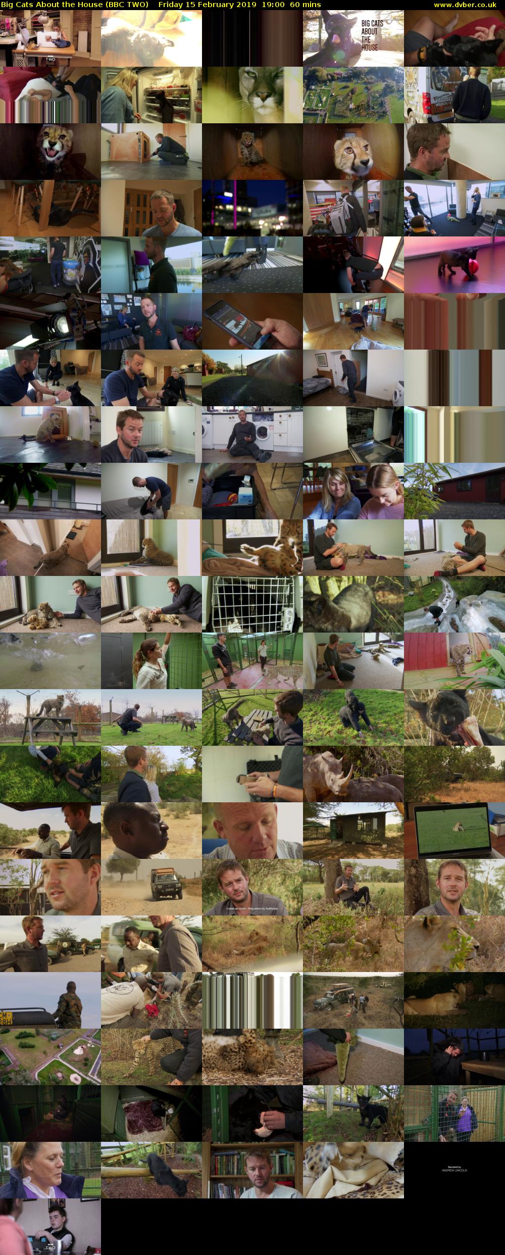 Big Cats About the House (BBC TWO) Friday 15 February 2019 19:00 - 20:00