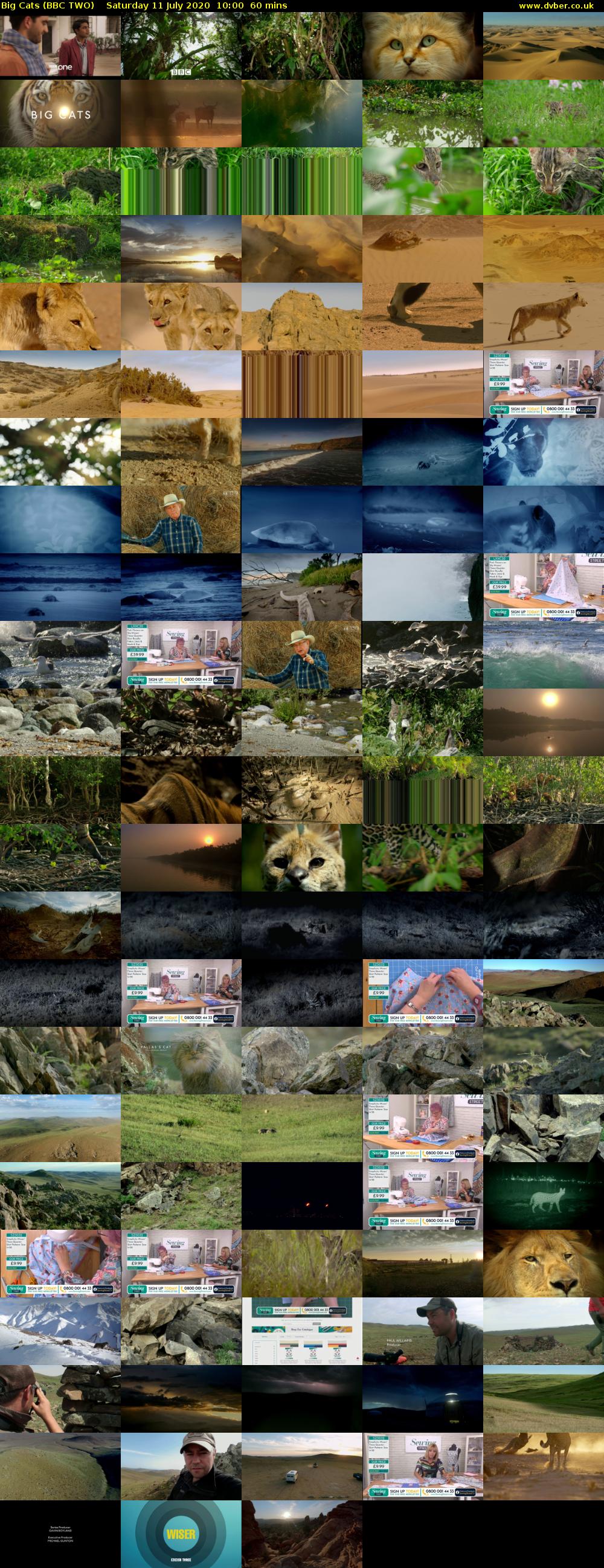Big Cats (BBC TWO) Saturday 11 July 2020 10:00 - 11:00