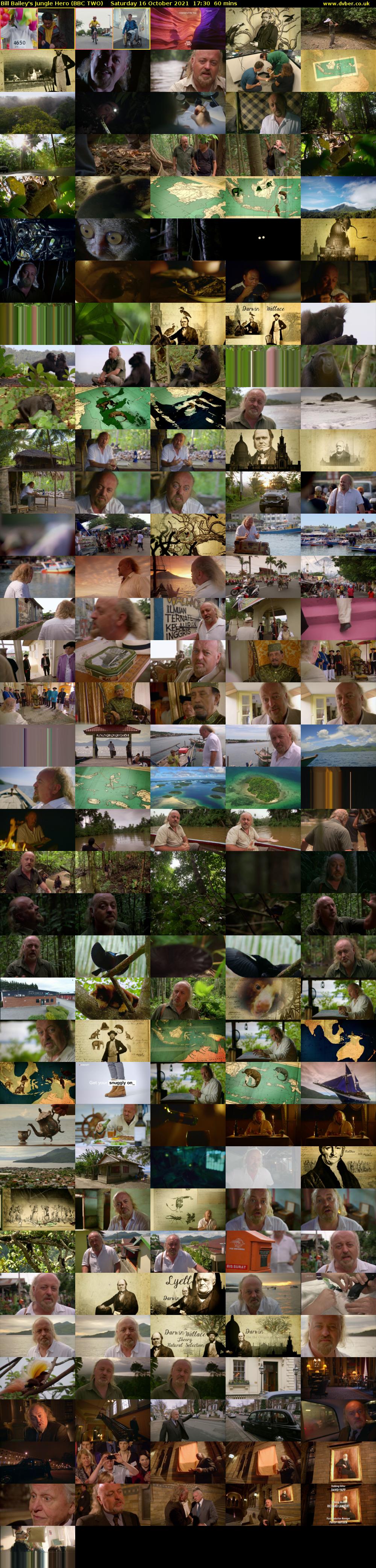 Bill Bailey's Jungle Hero (BBC TWO) Saturday 16 October 2021 17:30 - 18:30