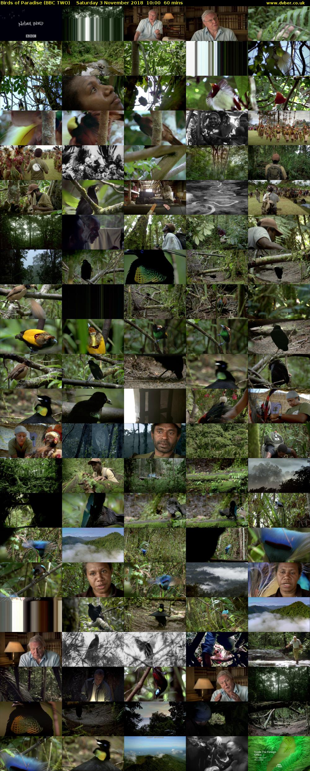 Birds of Paradise (BBC TWO) Saturday 3 November 2018 10:00 - 11:00