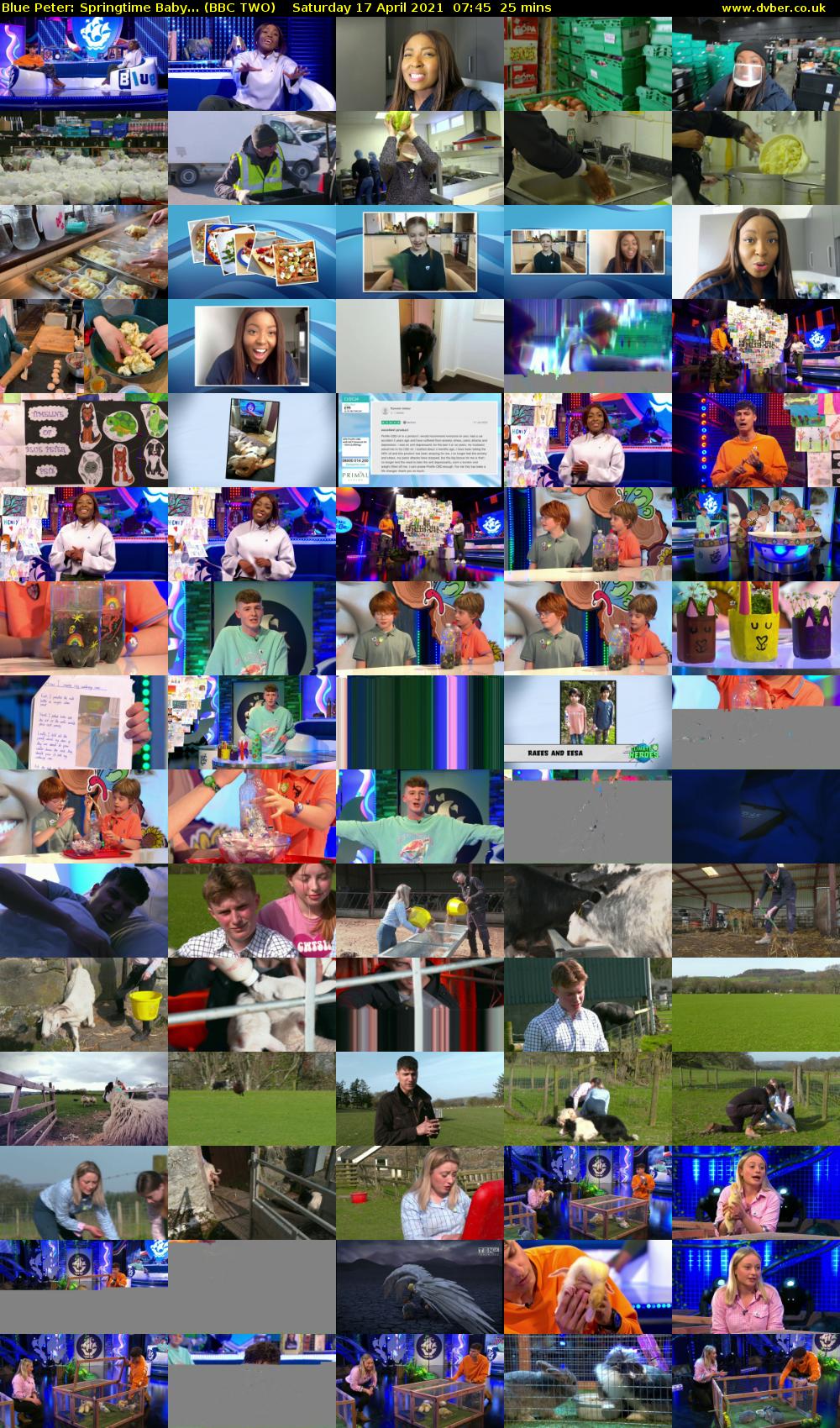 Blue Peter: Springtime Baby... (BBC TWO) Saturday 17 April 2021 07:45 - 08:10