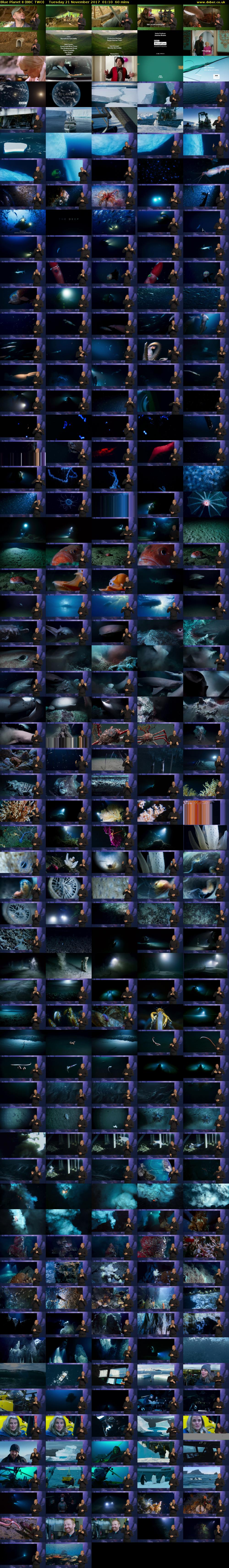 Blue Planet II (BBC TWO) Tuesday 21 November 2017 01:10 - 02:10