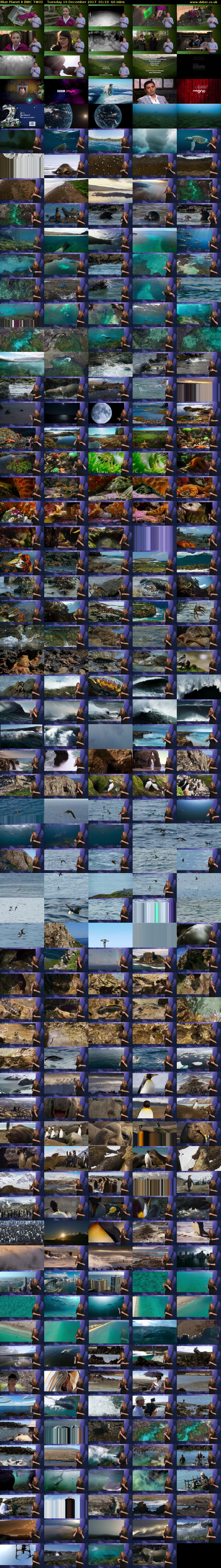 Blue Planet II (BBC TWO) Tuesday 19 December 2017 01:10 - 02:10