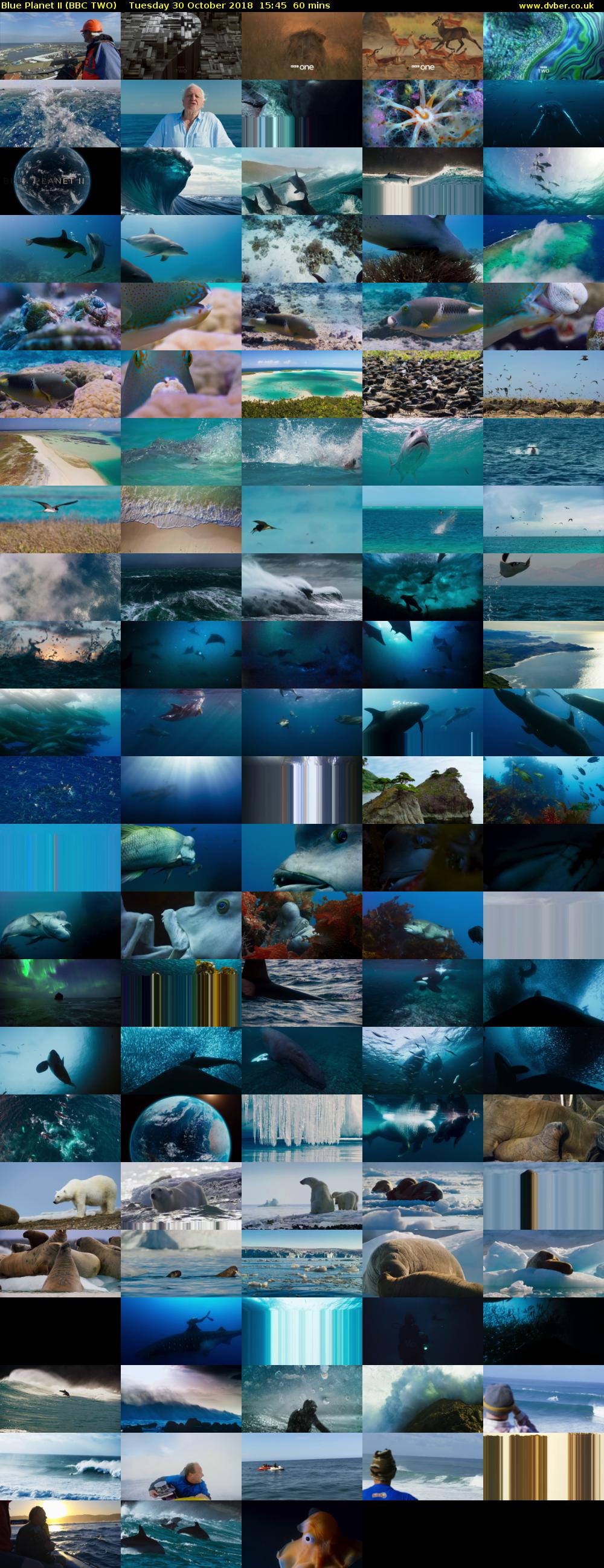Blue Planet II (BBC TWO) Tuesday 30 October 2018 15:45 - 16:45