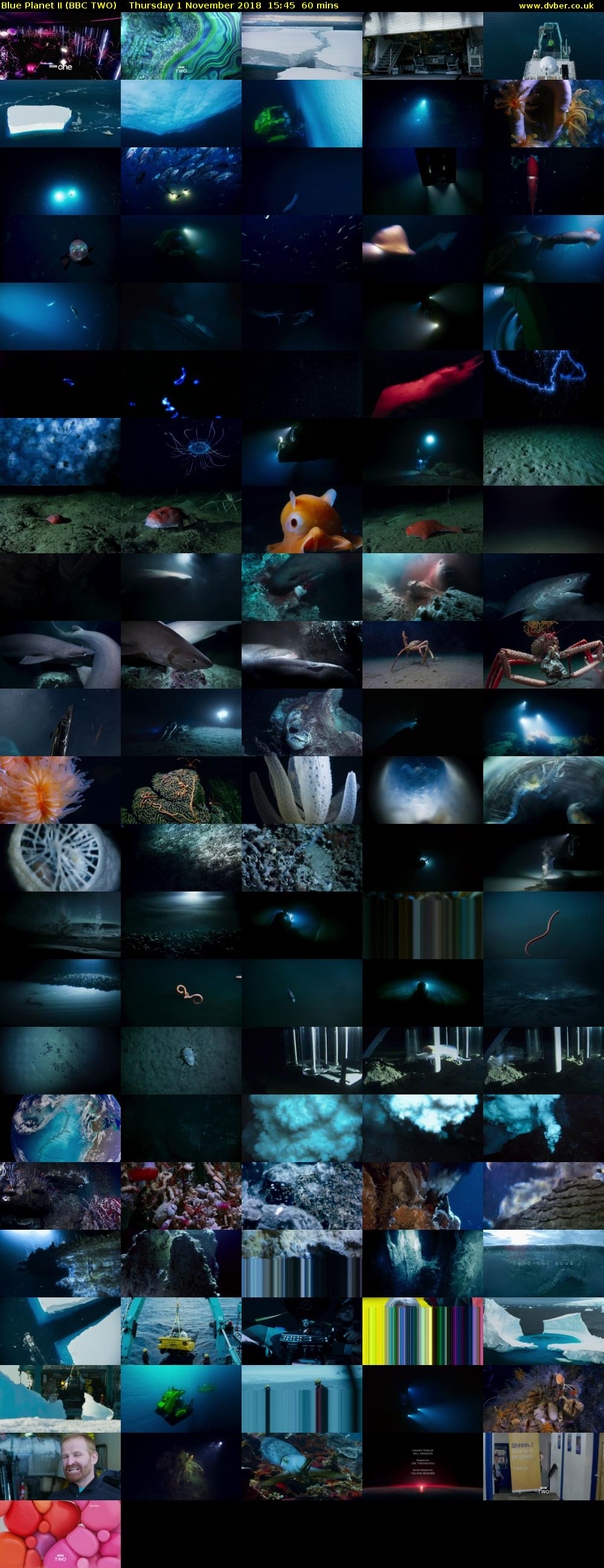 Blue Planet II (BBC TWO) Thursday 1 November 2018 15:45 - 16:45
