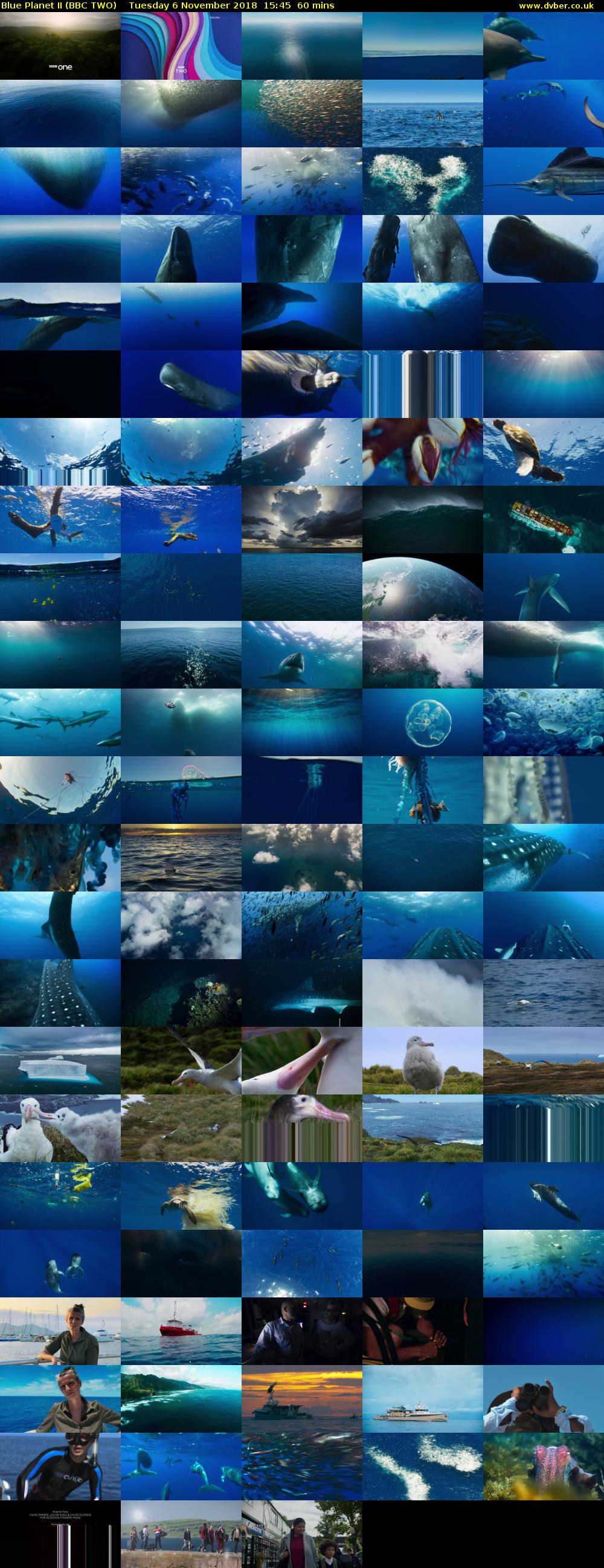 Blue Planet II (BBC TWO) Tuesday 6 November 2018 15:45 - 16:45
