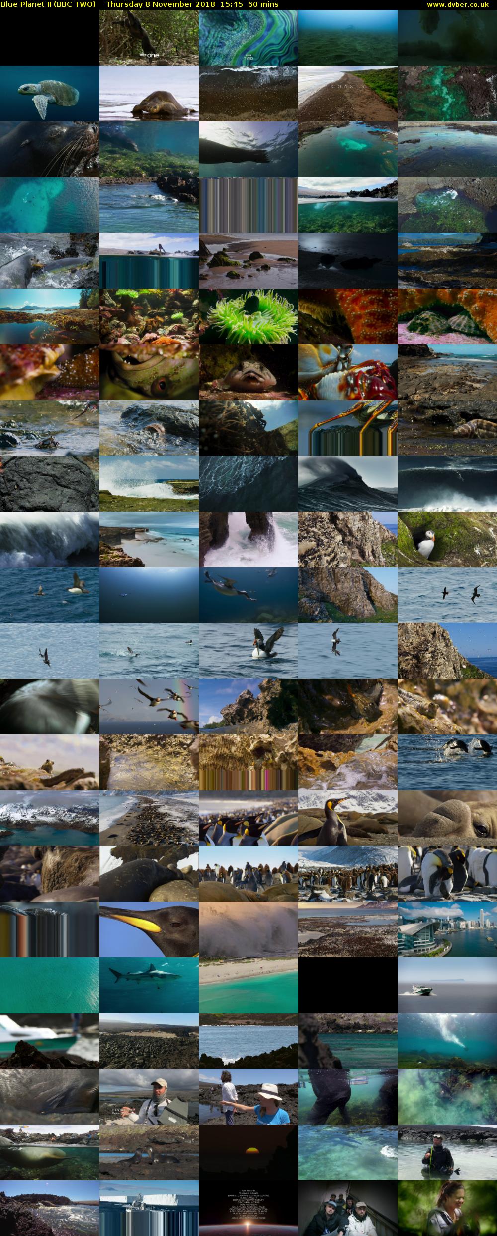 Blue Planet II (BBC TWO) Thursday 8 November 2018 15:45 - 16:45