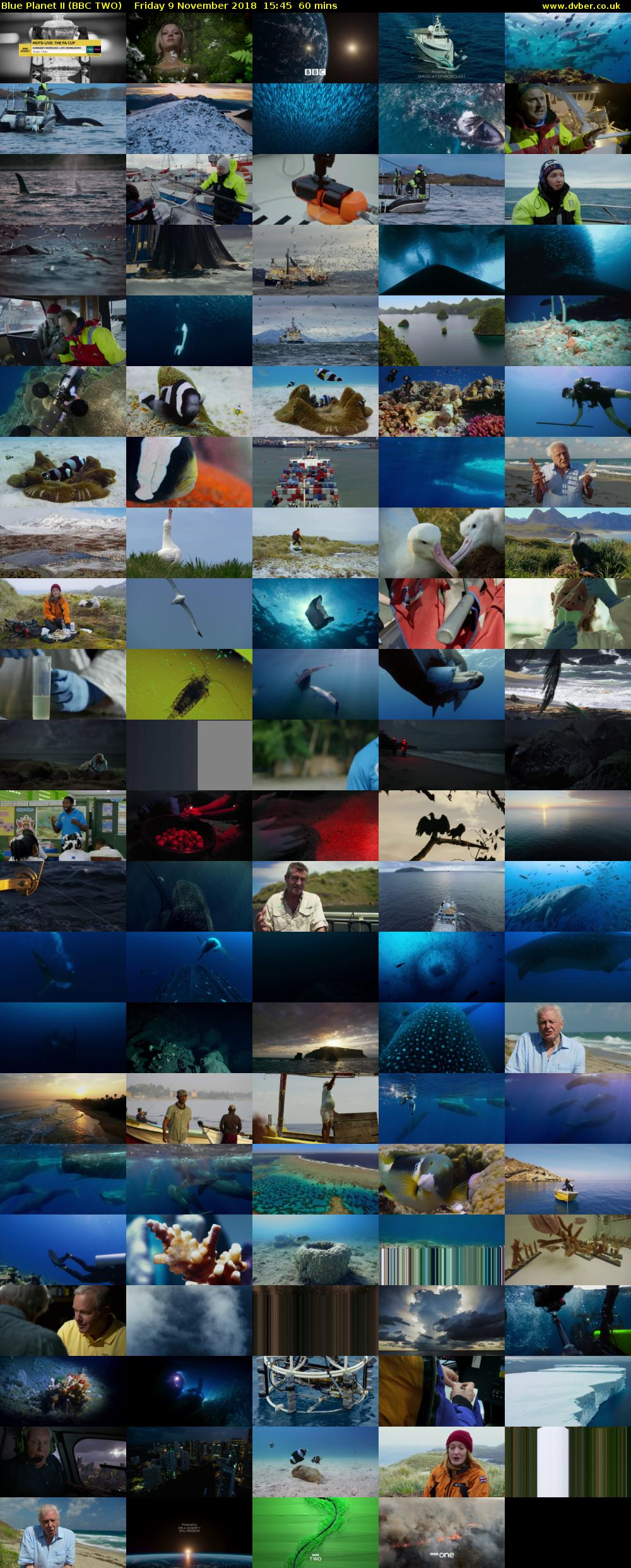 Blue Planet II (BBC TWO) Friday 9 November 2018 15:45 - 16:45