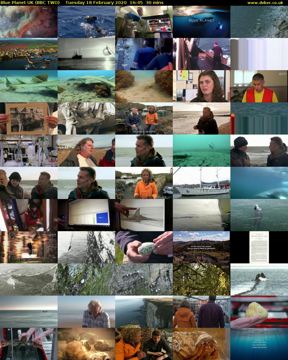 Blue Planet UK (BBC TWO) Tuesday 18 February 2020 16:45 - 17:15