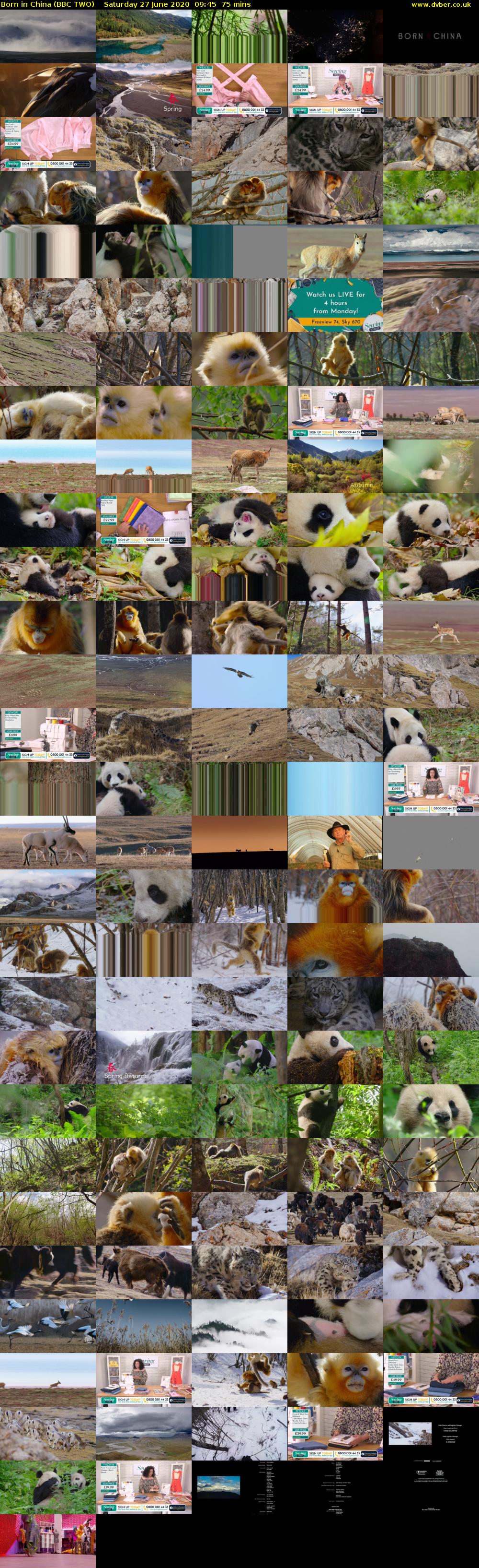Born in China (BBC TWO) Saturday 27 June 2020 09:45 - 11:00