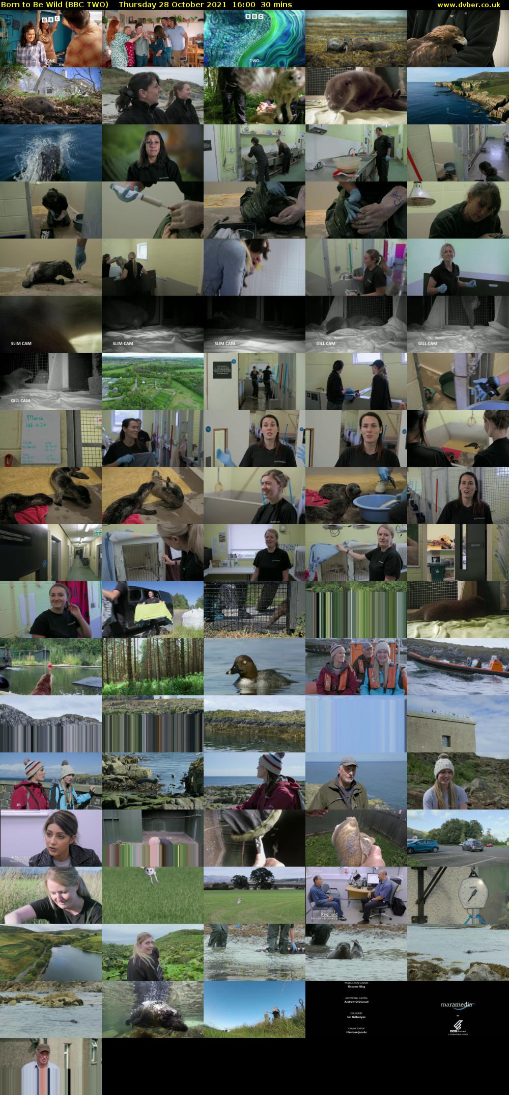 Born to Be Wild (BBC TWO) Thursday 28 October 2021 16:00 - 16:30