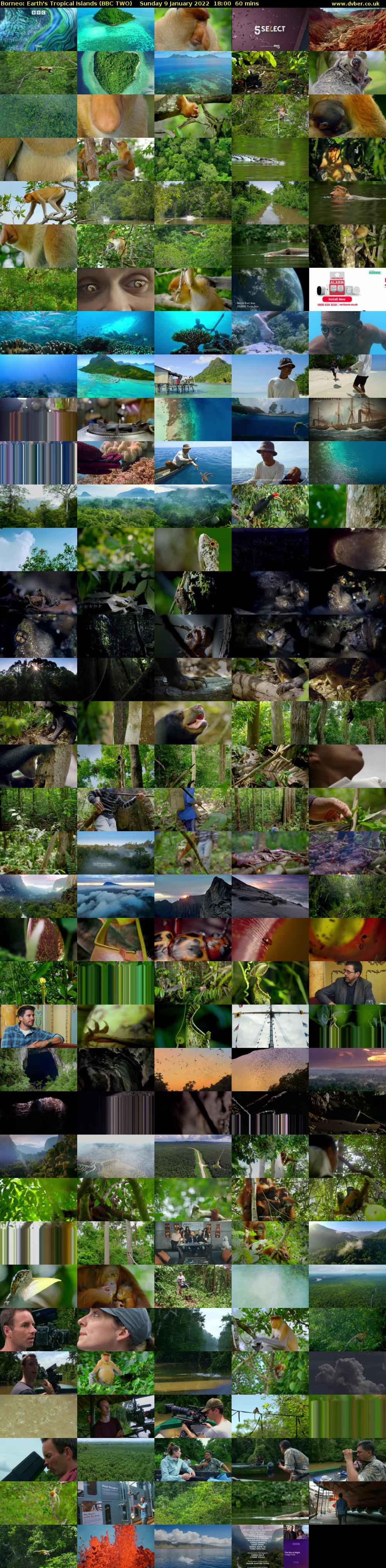 Borneo: Earth's Tropical Islands (BBC TWO) Sunday 9 January 2022 18:00 - 19:00