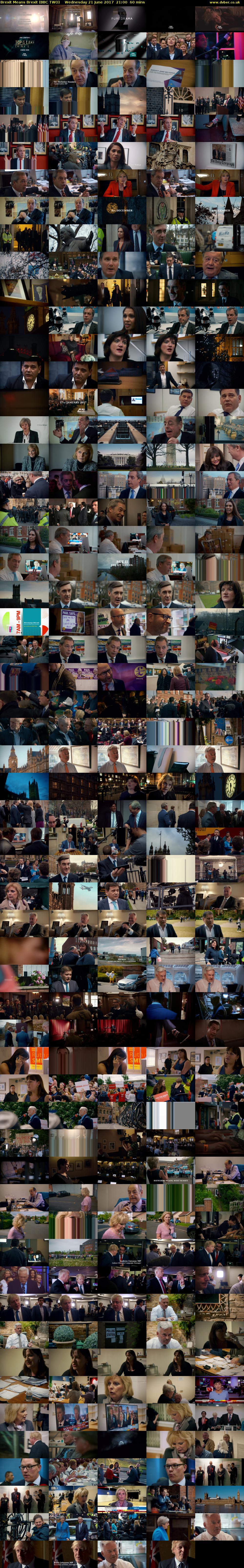 Brexit Means Brexit (BBC TWO) Wednesday 21 June 2017 21:00 - 22:00