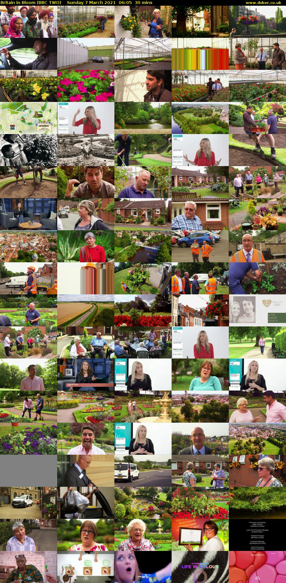 Britain in Bloom (BBC TWO) Sunday 7 March 2021 06:05 - 06:35