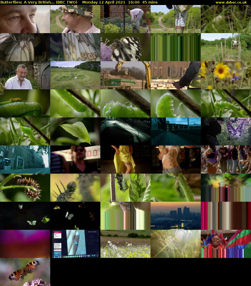 Butterflies: A Very British... (BBC TWO) Monday 12 April 2021 16:00 - 16:45