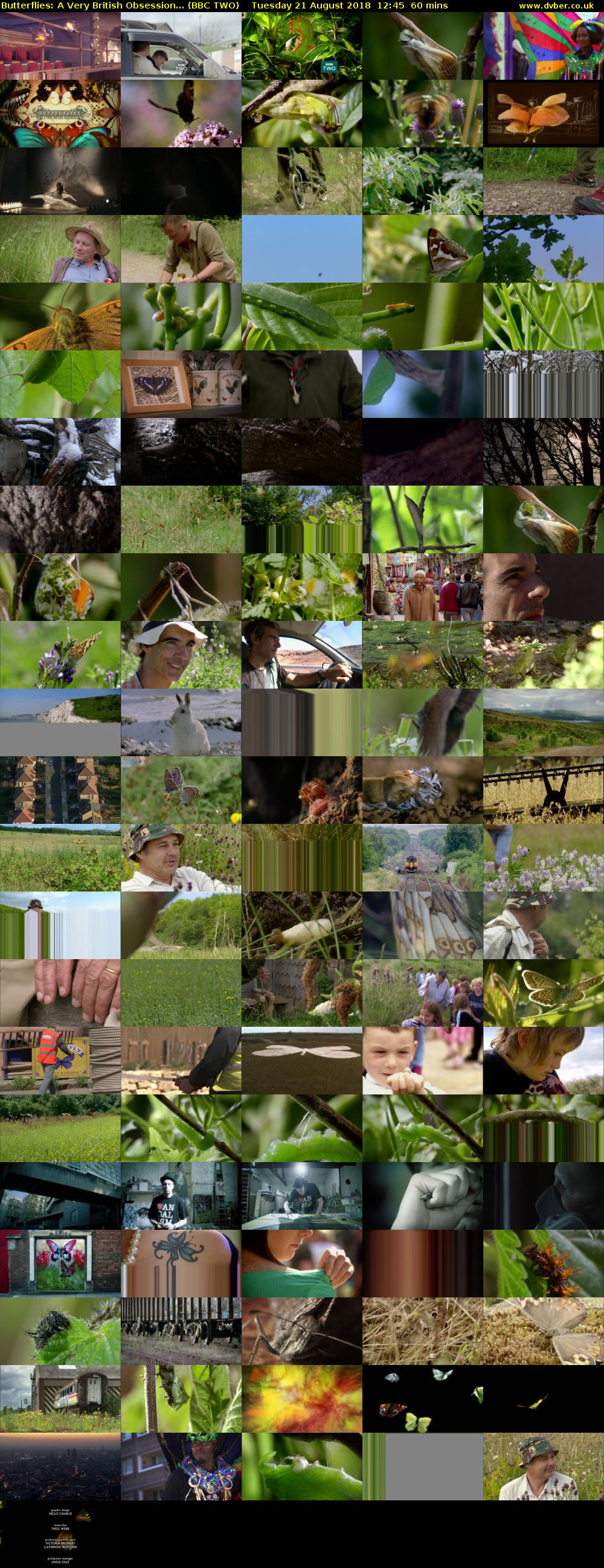 Butterflies: A Very British Obsession... (BBC TWO) Tuesday 21 August 2018 12:45 - 13:45
