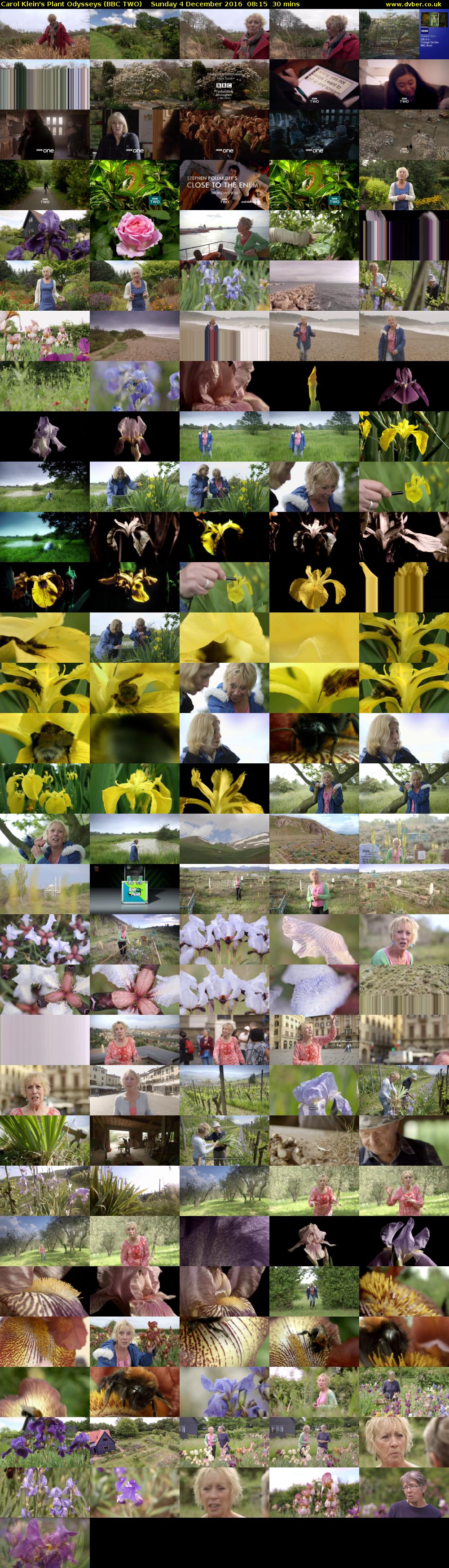 Carol Klein's Plant Odysseys (BBC TWO) Sunday 4 December 2016 08:15 - 08:45