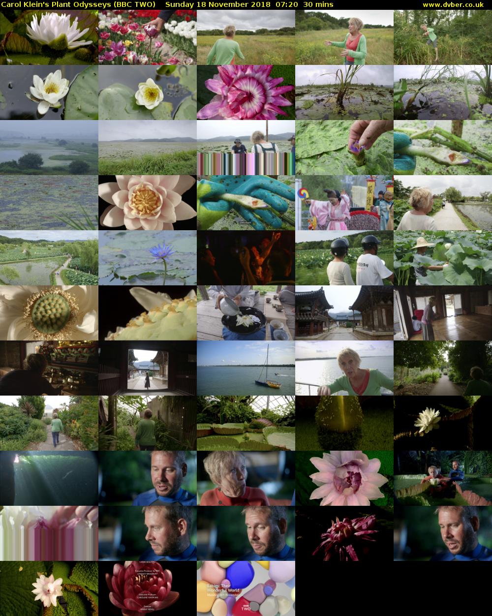 Carol Klein's Plant Odysseys (BBC TWO) Sunday 18 November 2018 07:20 - 07:50