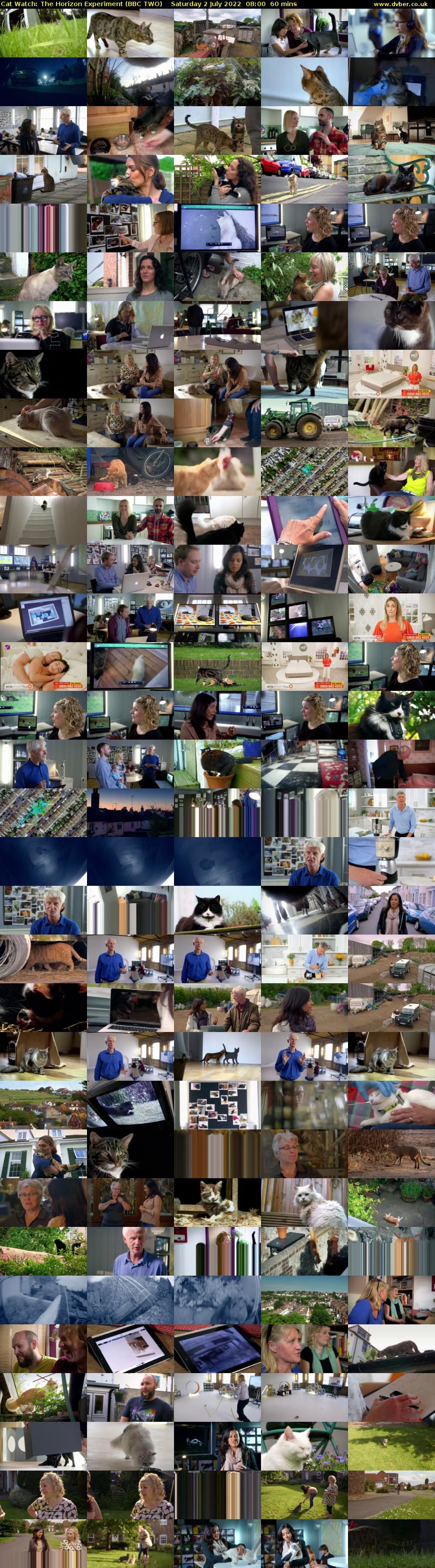 Cat Watch: The Horizon Experiment (BBC TWO) Saturday 2 July 2022 08:00 - 09:00