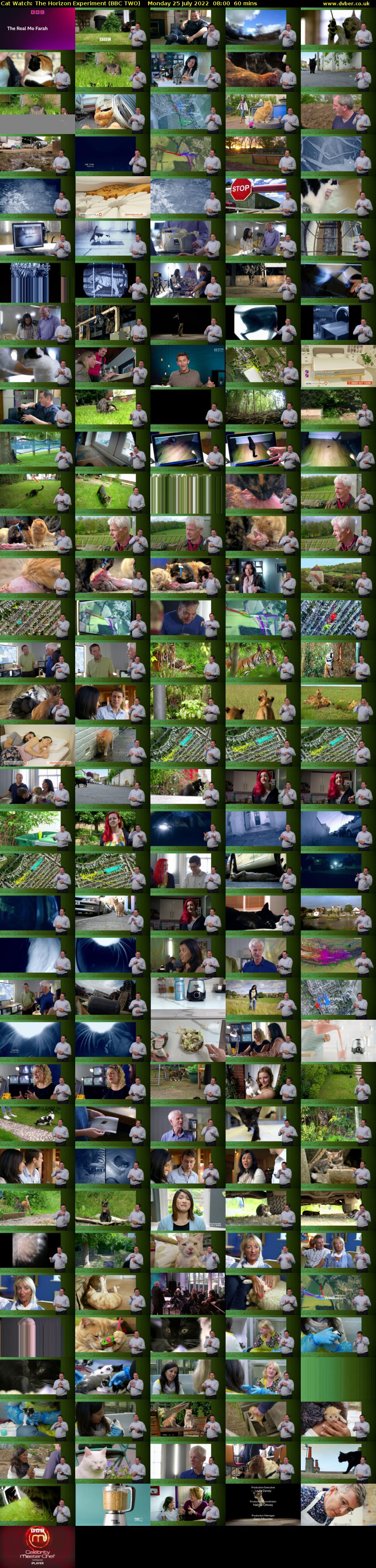 Cat Watch: The Horizon Experiment (BBC TWO) Monday 25 July 2022 08:00 - 09:00