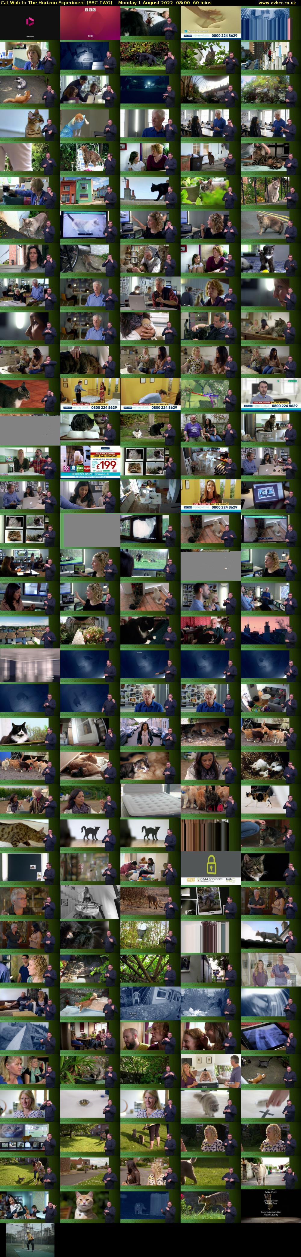 Cat Watch: The Horizon Experiment (BBC TWO) Monday 1 August 2022 08:00 - 09:00