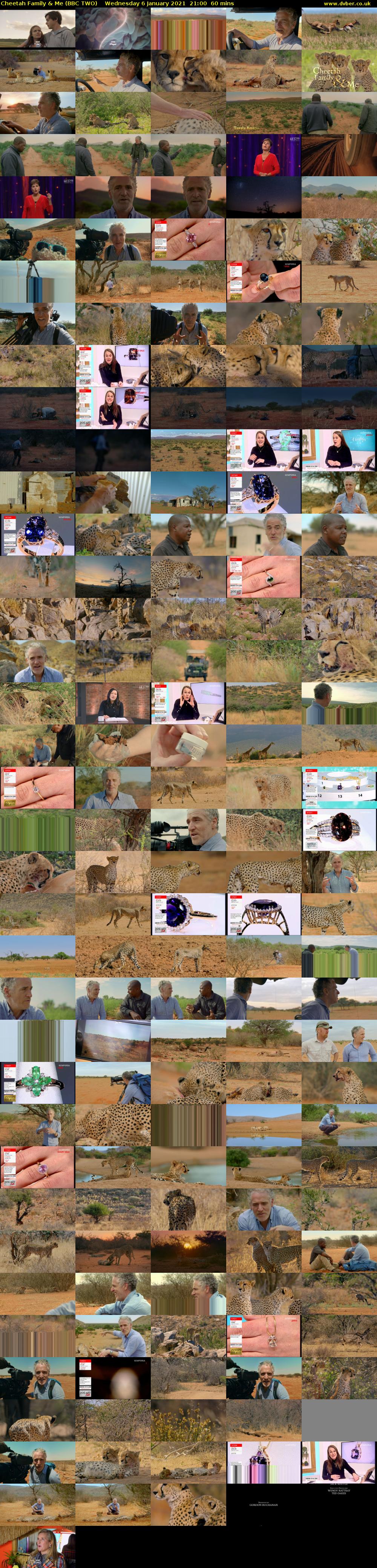 Cheetah Family & Me (BBC TWO) Wednesday 6 January 2021 21:00 - 22:00