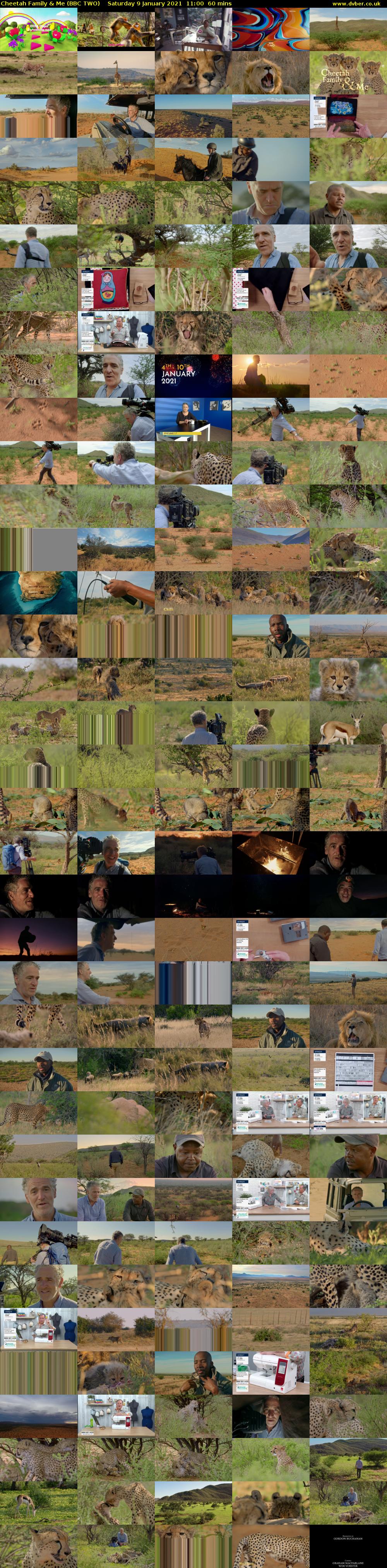 Cheetah Family & Me (BBC TWO) Saturday 9 January 2021 11:00 - 12:00