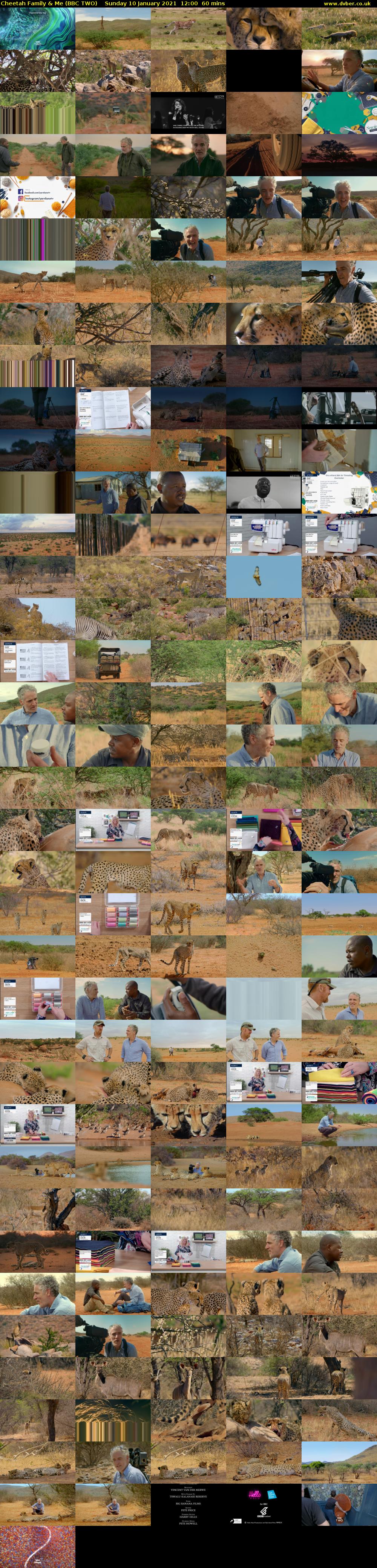 Cheetah Family & Me (BBC TWO) Sunday 10 January 2021 12:00 - 13:00