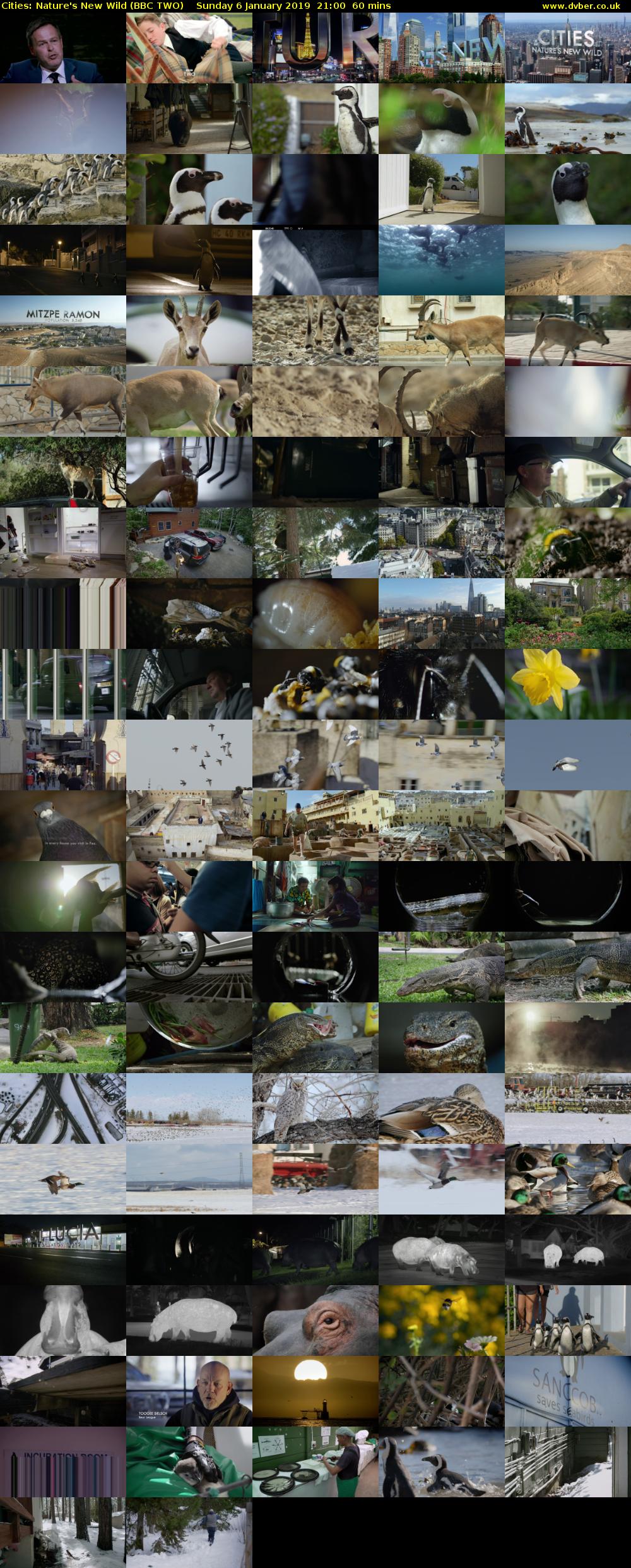 Cities: Nature's New Wild (BBC TWO) Sunday 6 January 2019 21:00 - 22:00