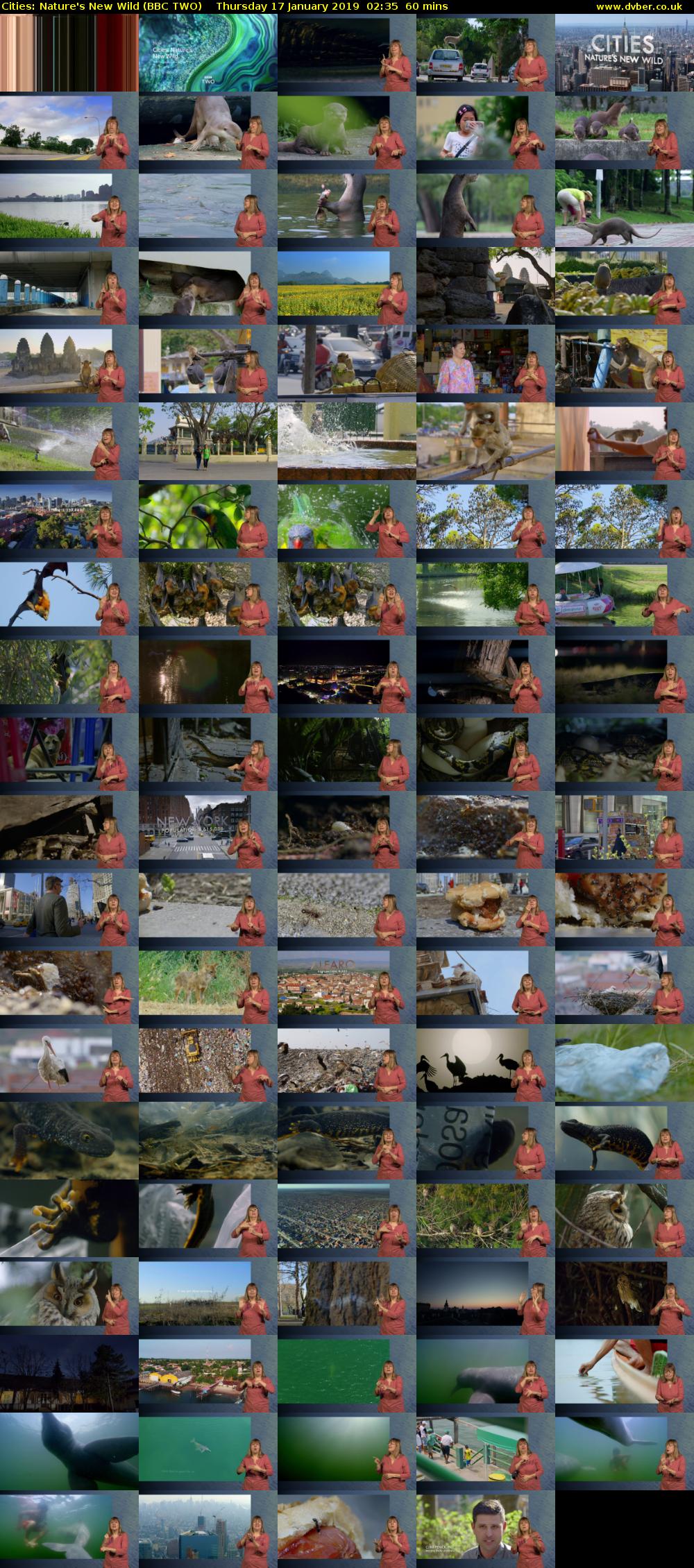 Cities: Nature's New Wild (BBC TWO) Thursday 17 January 2019 02:35 - 03:35