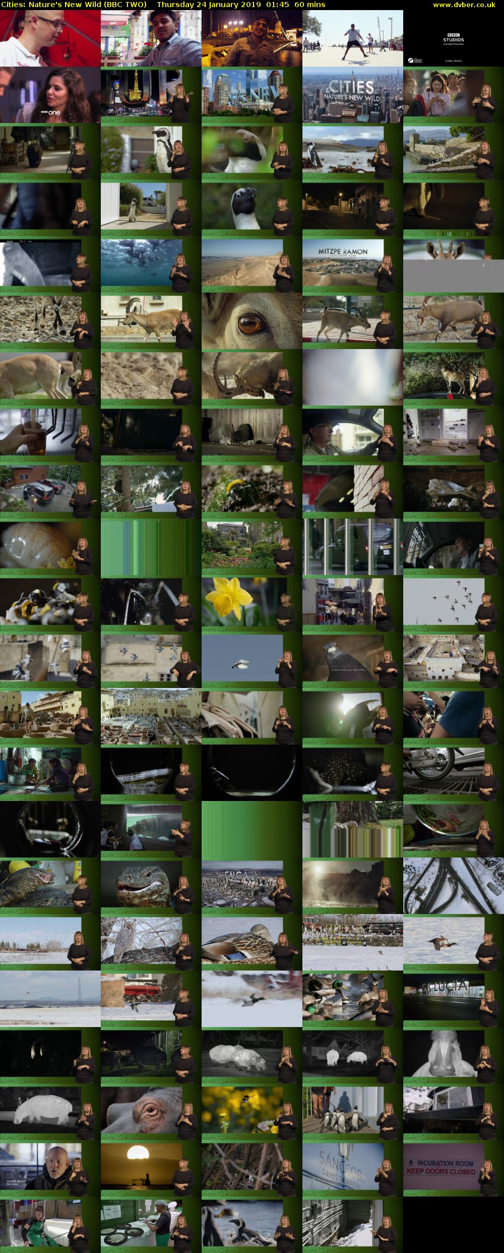 Cities: Nature's New Wild (BBC TWO) Thursday 24 January 2019 01:45 - 02:45