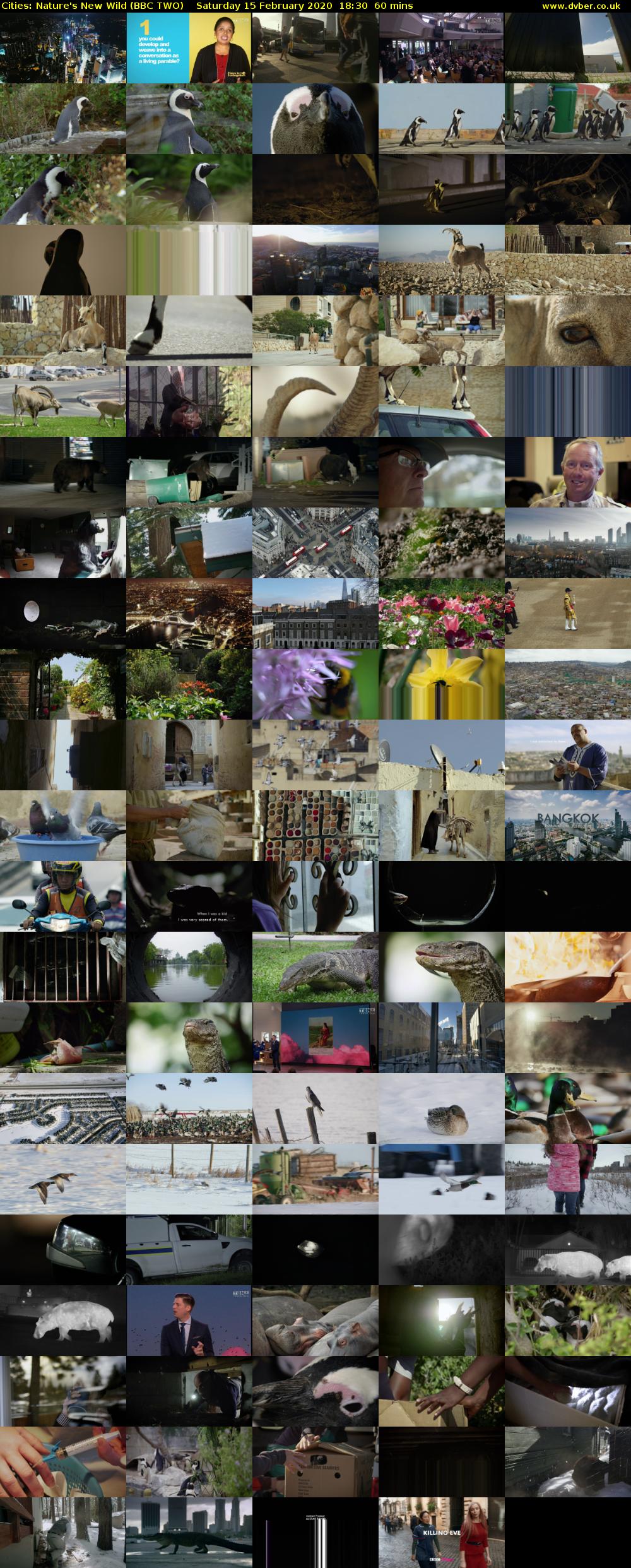 Cities: Nature's New Wild (BBC TWO) Saturday 15 February 2020 18:30 - 19:30