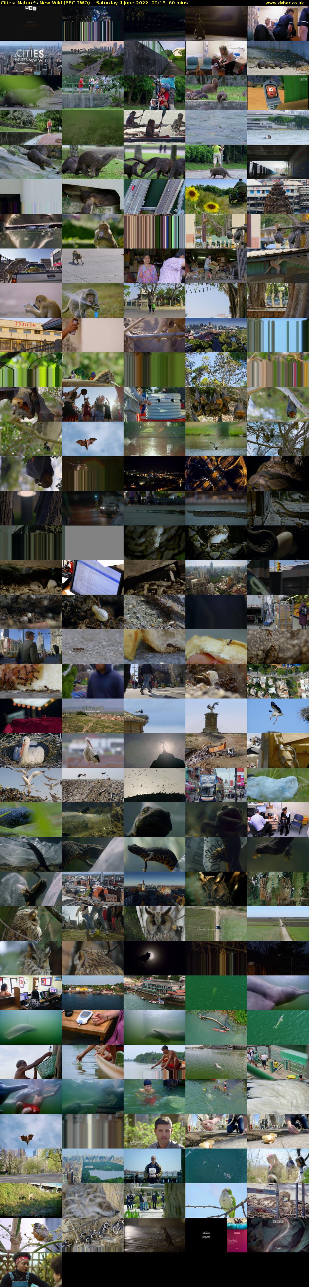 Cities: Nature's New Wild (BBC TWO) Saturday 4 June 2022 09:15 - 10:15