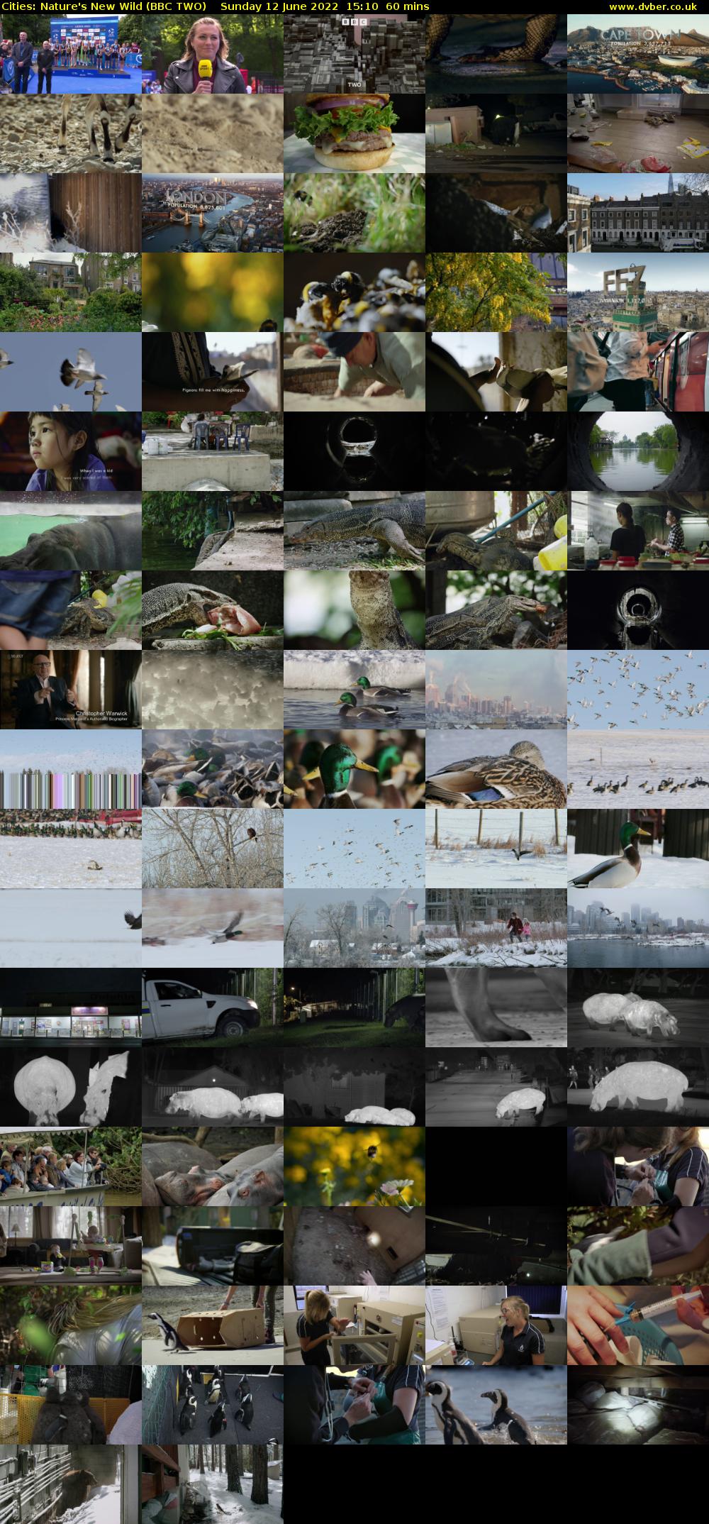 Cities: Nature's New Wild (BBC TWO) Sunday 12 June 2022 15:10 - 16:10