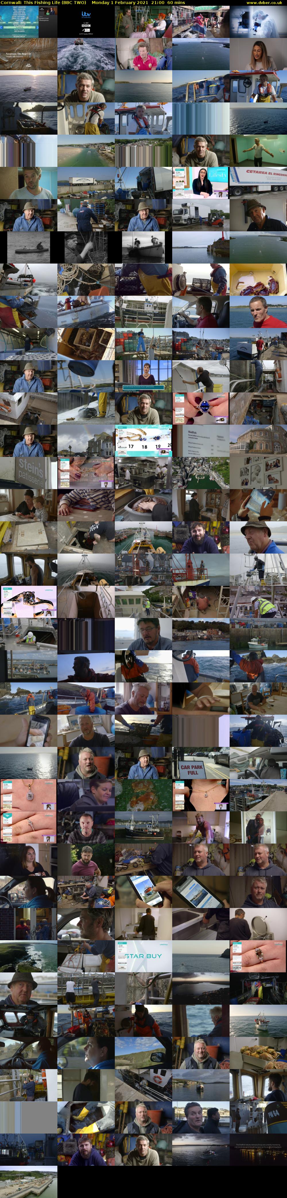 Cornwall: This Fishing Life (BBC TWO) Monday 1 February 2021 21:00 - 22:00