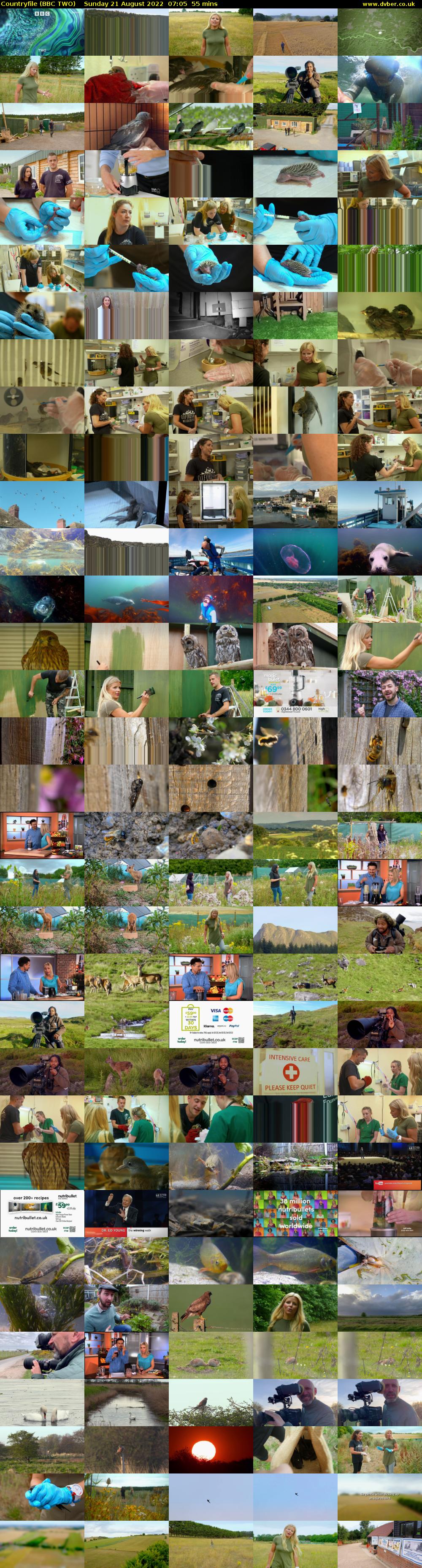 Countryfile (BBC TWO) Sunday 21 August 2022 07:05 - 08:00