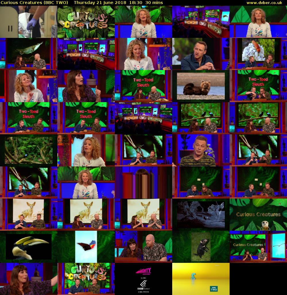 Curious Creatures (BBC TWO) Thursday 21 June 2018 18:30 - 19:00