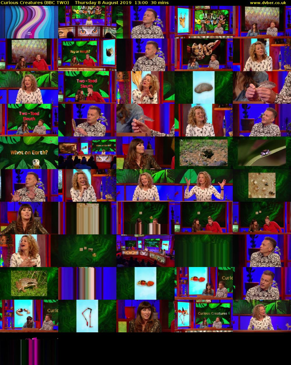 Curious Creatures (BBC TWO) Thursday 8 August 2019 13:00 - 13:30