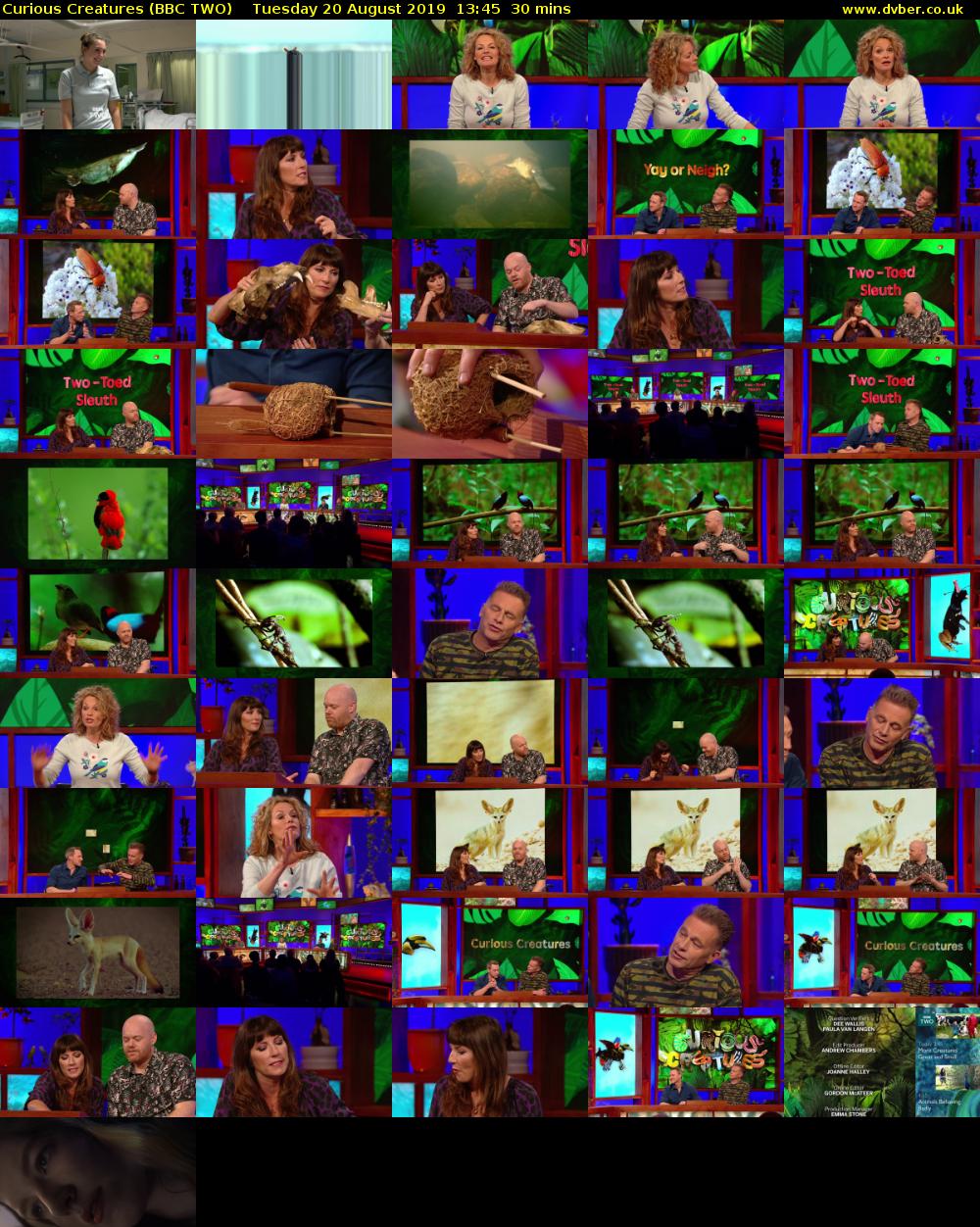 Curious Creatures (BBC TWO) Tuesday 20 August 2019 13:45 - 14:15
