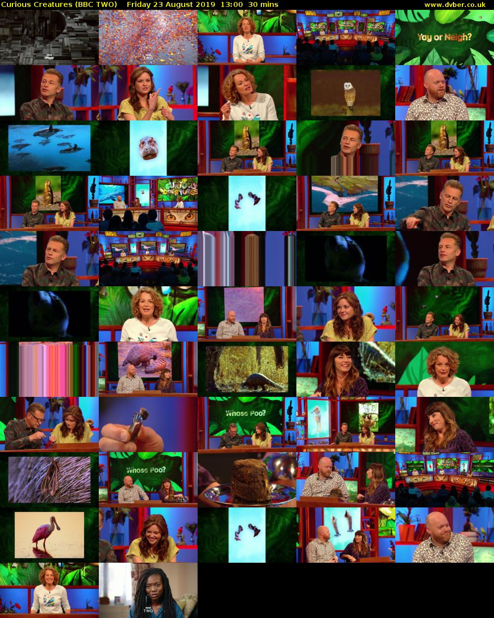 Curious Creatures (BBC TWO) Friday 23 August 2019 13:00 - 13:30