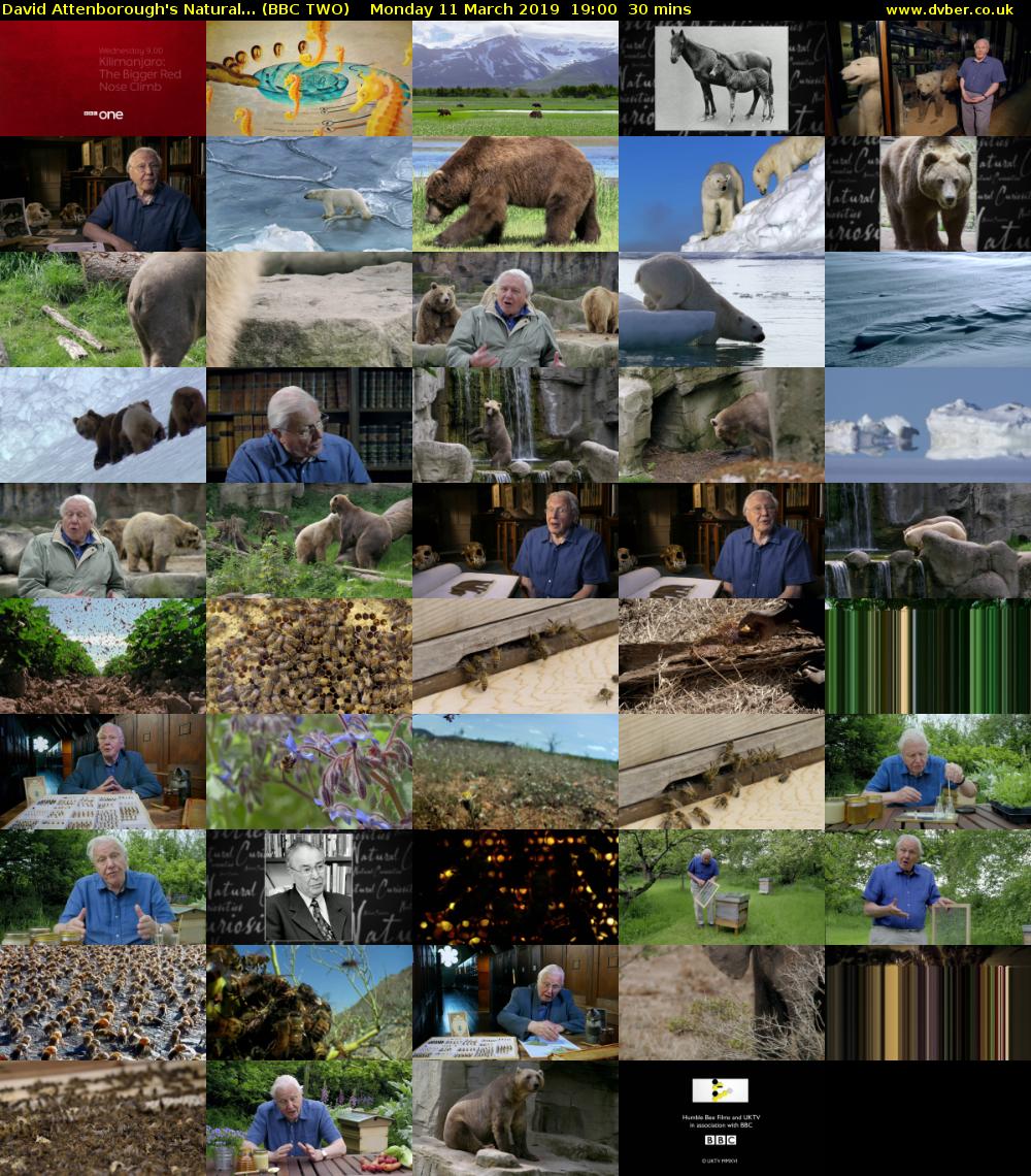 David Attenborough's Natural... (BBC TWO) Monday 11 March 2019 19:00 - 19:30