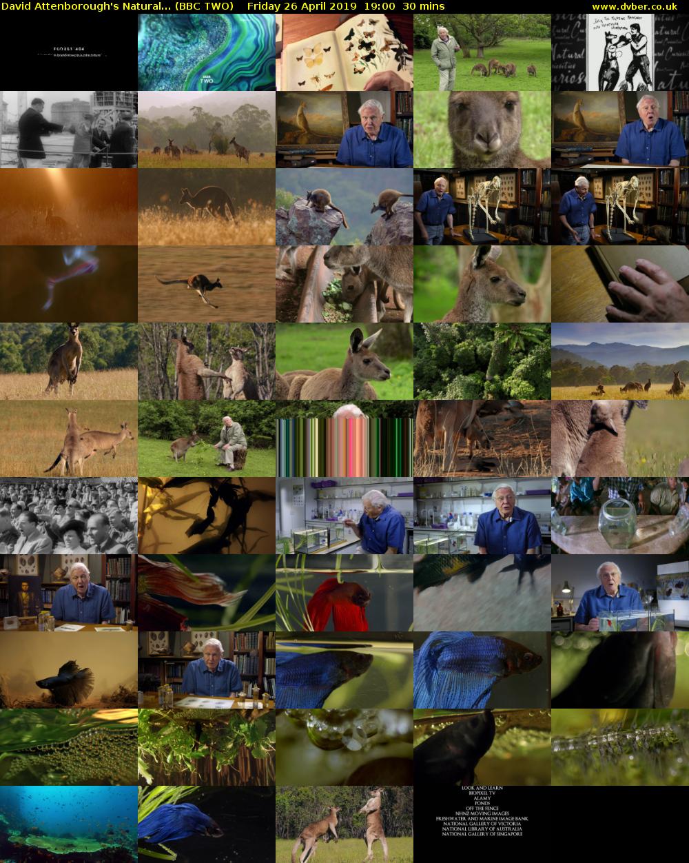 David Attenborough's Natural... (BBC TWO) Friday 26 April 2019 19:00 - 19:30