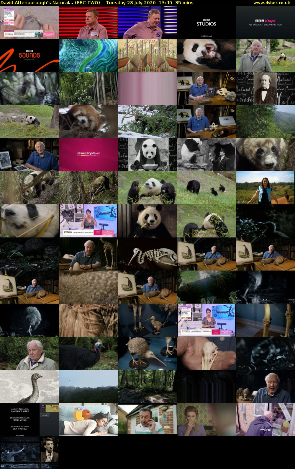 David Attenborough's Natural... (BBC TWO) Tuesday 28 July 2020 13:45 - 14:20