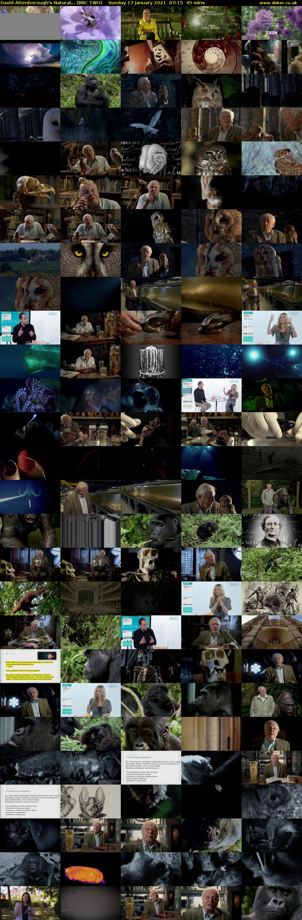 David Attenborough's Natural... (BBC TWO) Sunday 17 January 2021 07:15 - 08:00