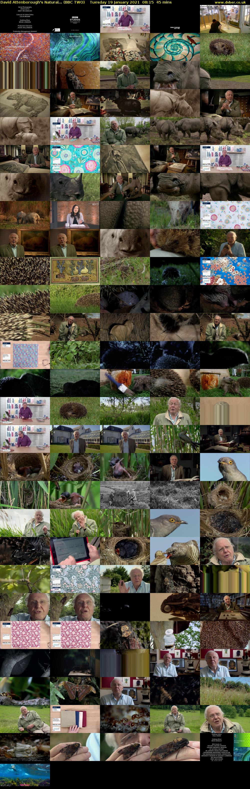 David Attenborough's Natural... (BBC TWO) Tuesday 19 January 2021 08:15 - 09:00